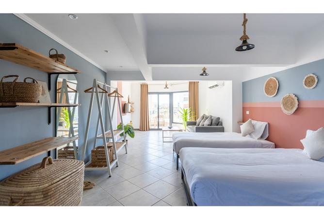 8302629 - Property Image 3