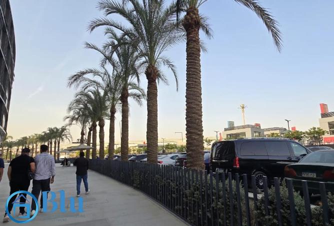 8302406 - صورة العقار 2