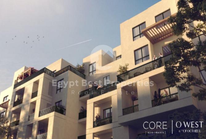 66172838 - Property Image 3