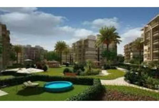 8303176 - صورة العقار 2