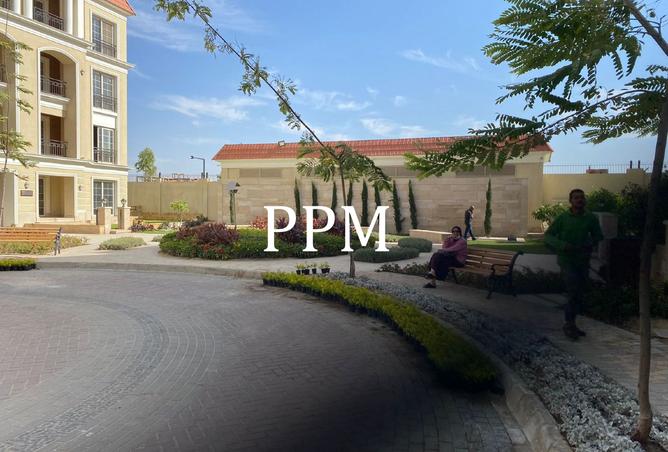 8303184 - صورة العقار 3