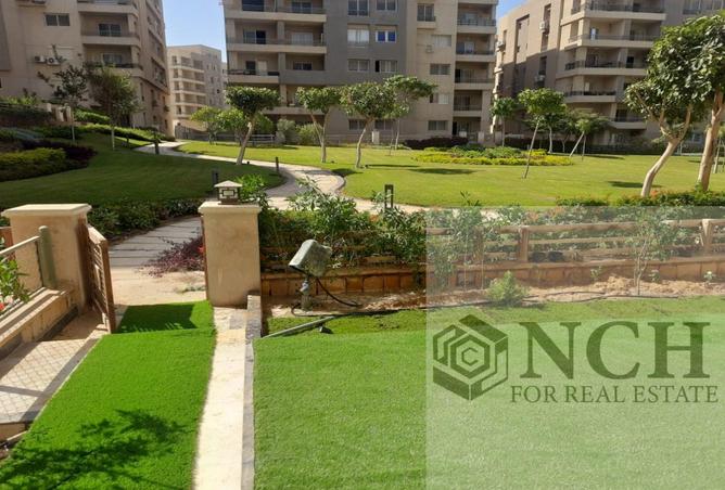 8303368 - صورة العقار 3