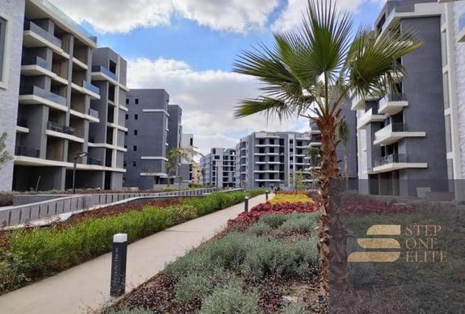 8303534 - صورة العقار 3