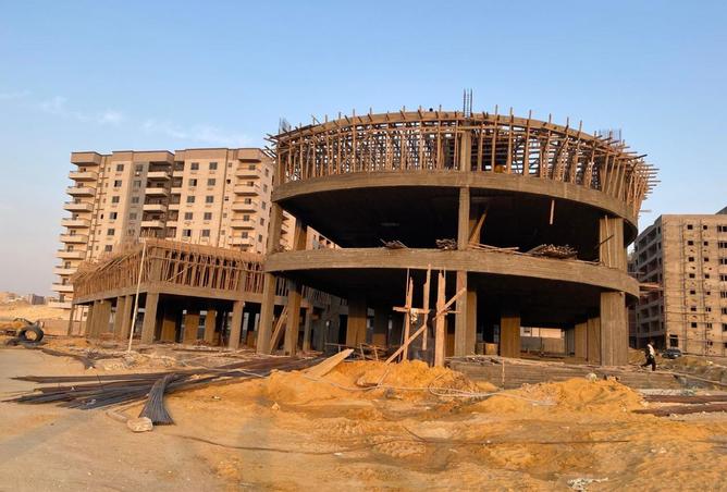 8303554 - صورة العقار 3