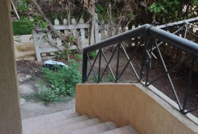 8304889 - صورة العقار 3