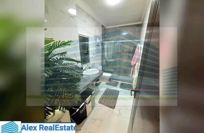 Apartment - 2 Bedrooms - 1 Bathroom for rent in Roshdy St. - Roushdy - Hay Sharq - Alexandria