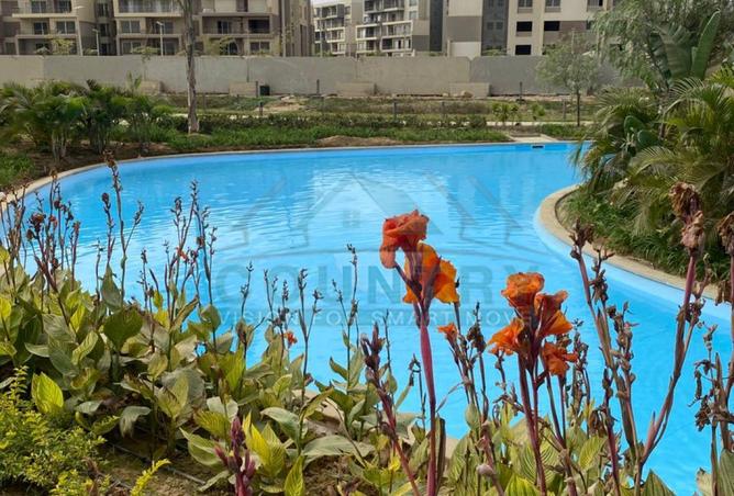 8308539 - Property Image 2