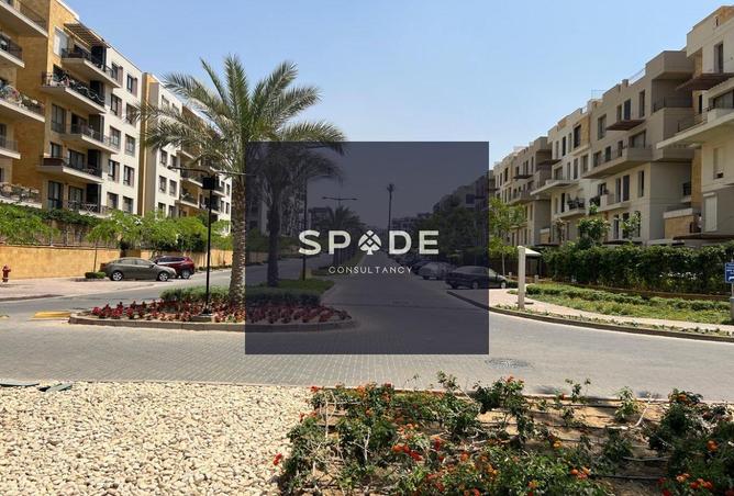 8308689 - Property Image 3