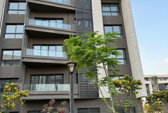 54491434 - Property Image 3