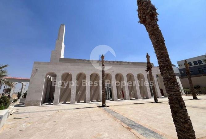 8316558 - Property Image 3