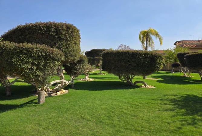 8309550 - صورة العقار 3