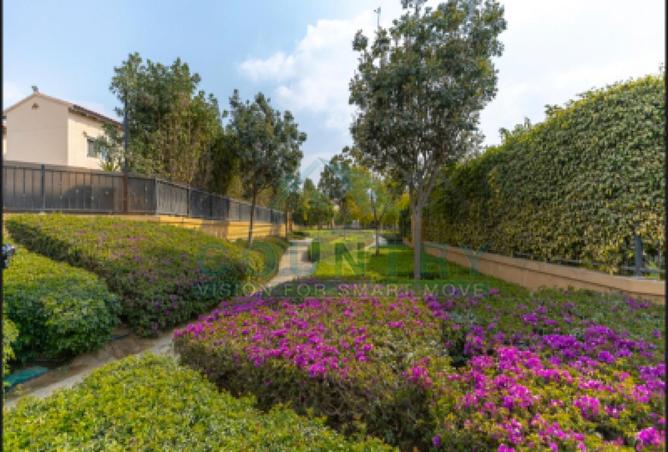 8309859 - Property Image 3