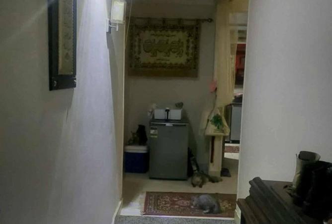 8310080 - صورة العقار 3