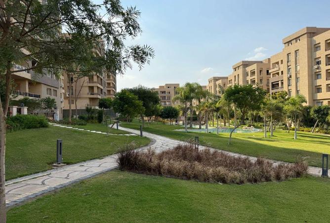 8310296 - Property Image 2