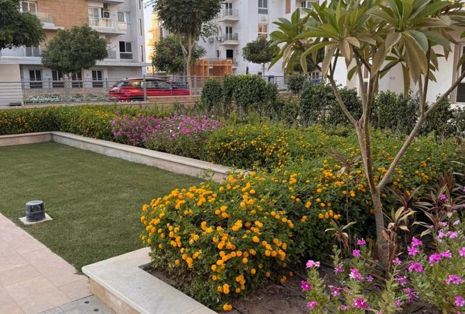 8337644 - صورة العقار 2