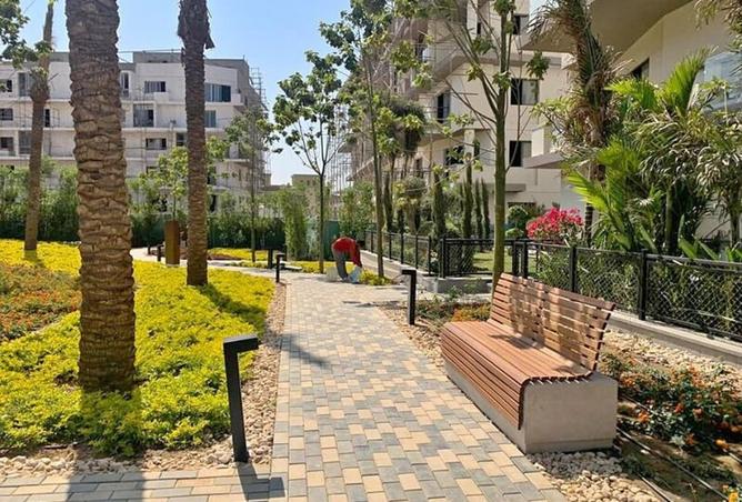 8317608 - صورة العقار 3