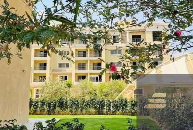 8315775 - Property Image 3