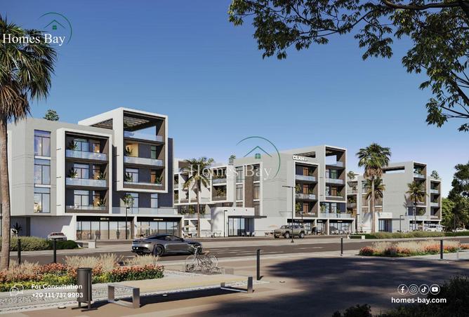 8316196 - Property Image 2