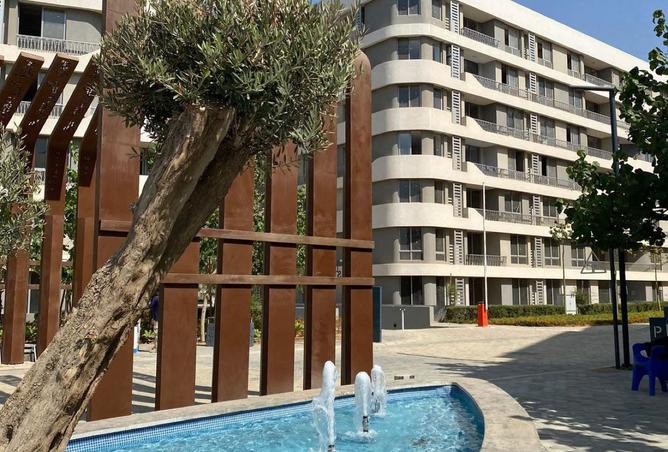 8365666 - صورة العقار 3