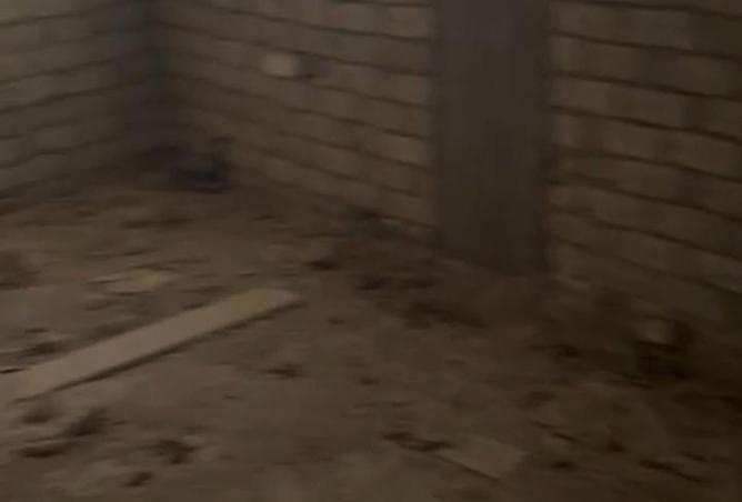 8317677 - صورة العقار 2