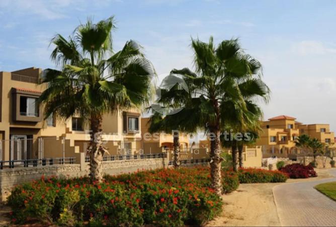 8320871 - Property Image 3