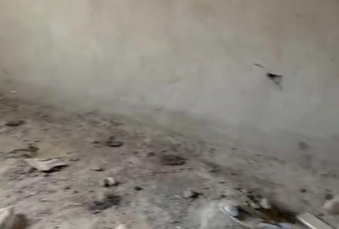 8317743 - الصورة الرئيسية للعقار