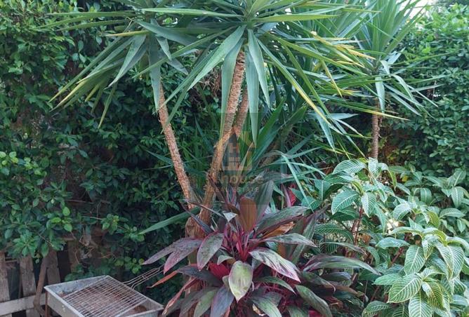 8318209 - الصورة الرئيسية للعقار