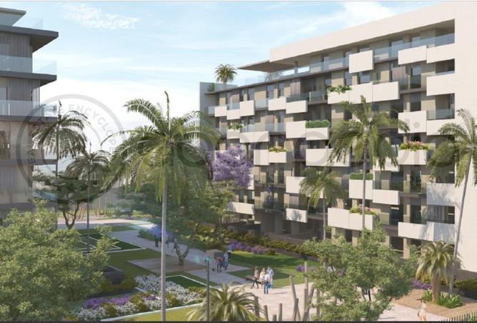 8318610 - Property Image 3