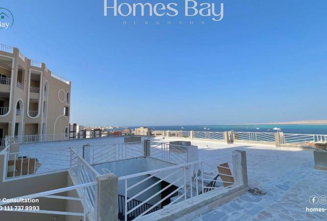 8319487 - Property Image 2