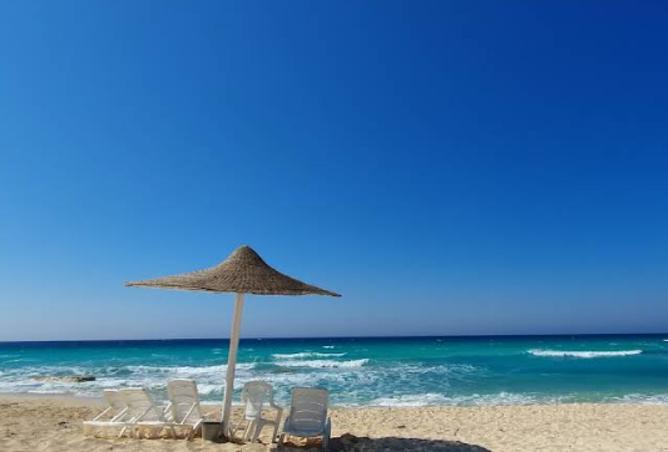 8337620 - صورة العقار 2