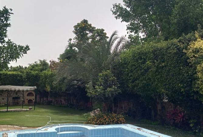 8326677 - Property Image 3