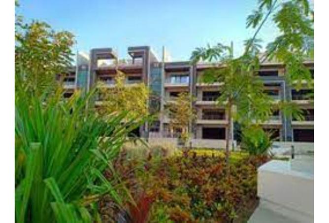 8322864 - صورة العقار 2