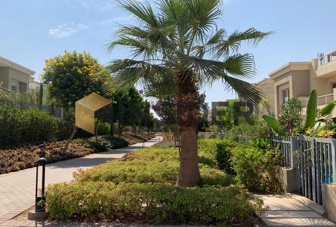 8323089 - صورة العقار 2