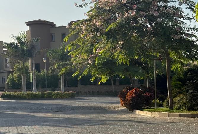 8323168 - صورة العقار 3