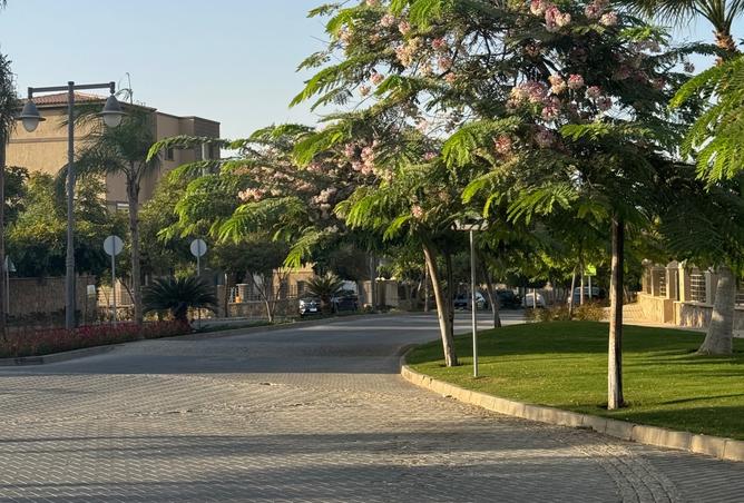 8323546 - صورة العقار 3