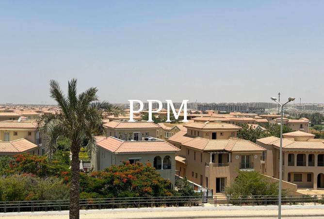 8324907 - Property Image 3