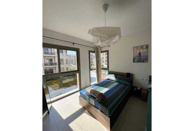 8325242 - Property Image 3