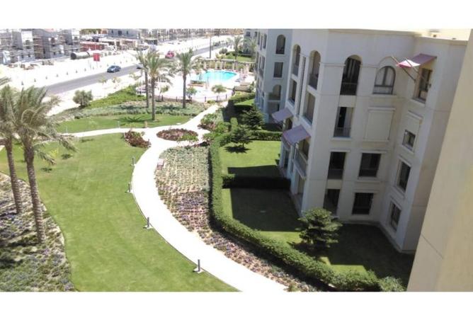 8325328 - Property Image 3