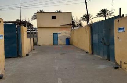 مزرعة - استوديو للبيع في مارينا دلتا - بلطيم - البرلس - كفر الشيخ