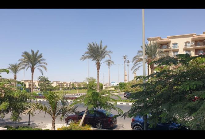 8328079 - Property Image 2