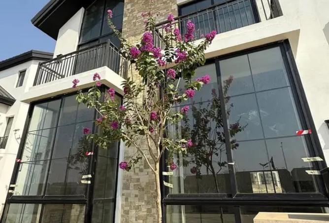 8328336 - Property Image 3