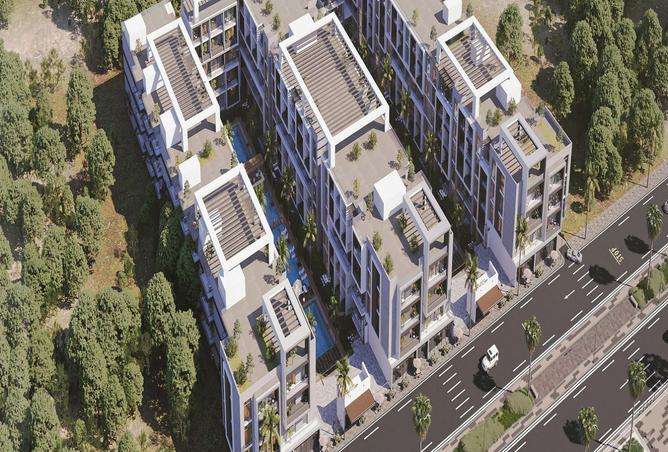 8328377 - Property Image 2