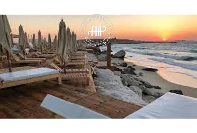 8328824 - صورة العقار 3