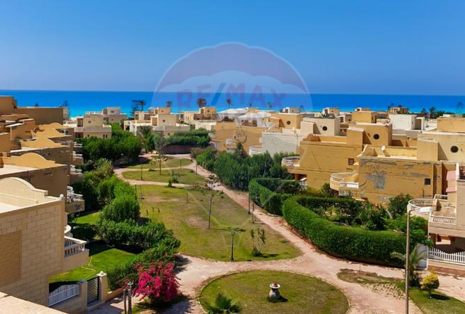 8328666 - Property Main Image