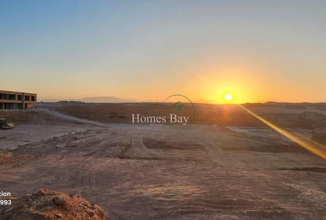 8329204 - Property Image 3