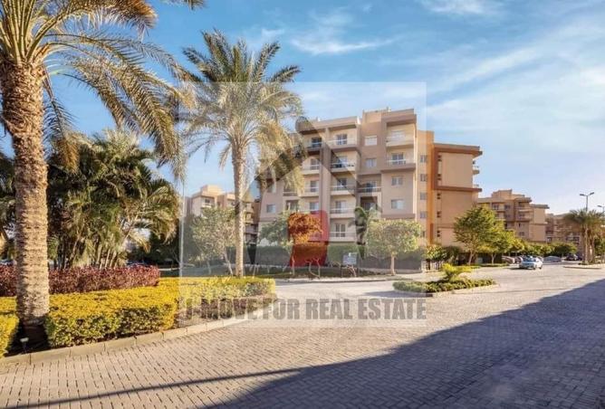 8329126 - Property Image 3