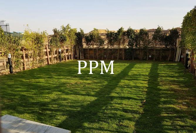 8329492 - صورة العقار 3