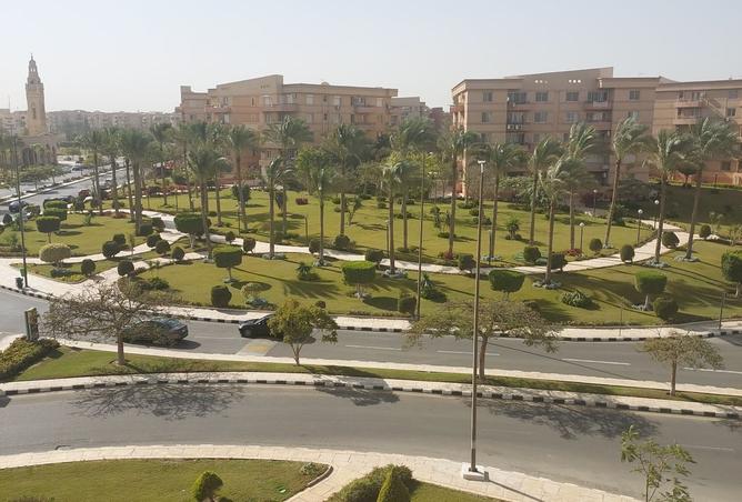 8329559 - الصورة الرئيسية للعقار