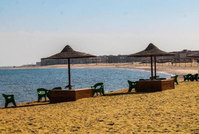 8329816 - Property Image 3