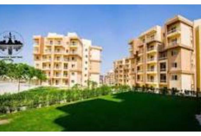 8339022 - Property Image 3